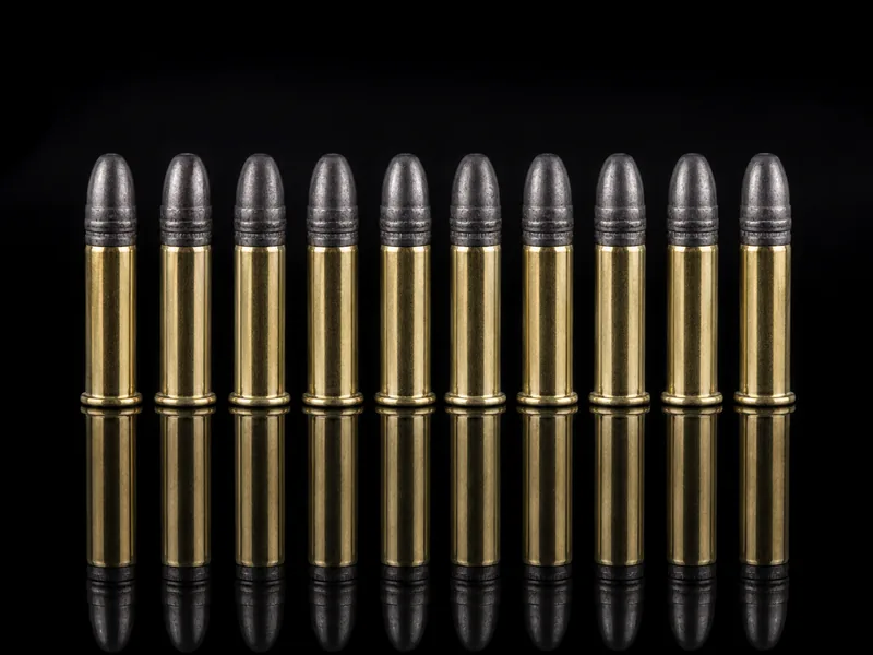 Bulk .22 LR rimfire ammunition